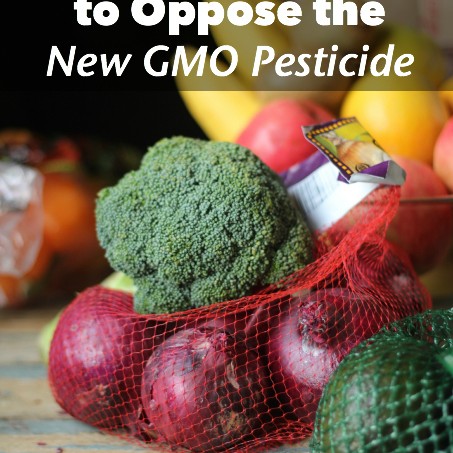 Urge the President to Oppose the New GMO Pesticide