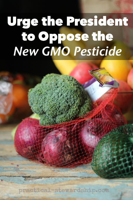 Urge the President to Oppose the New GMO Pesticide