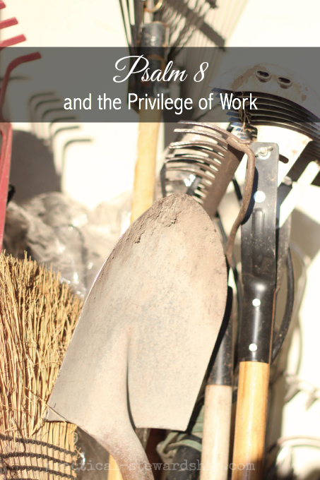 Psalm 8  and the Privilege of Work