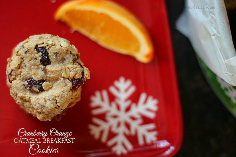 Cranberry Orange Breakfast Cookie