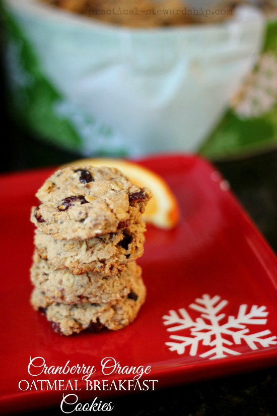 Cranberry Orange Breakfast Cookies