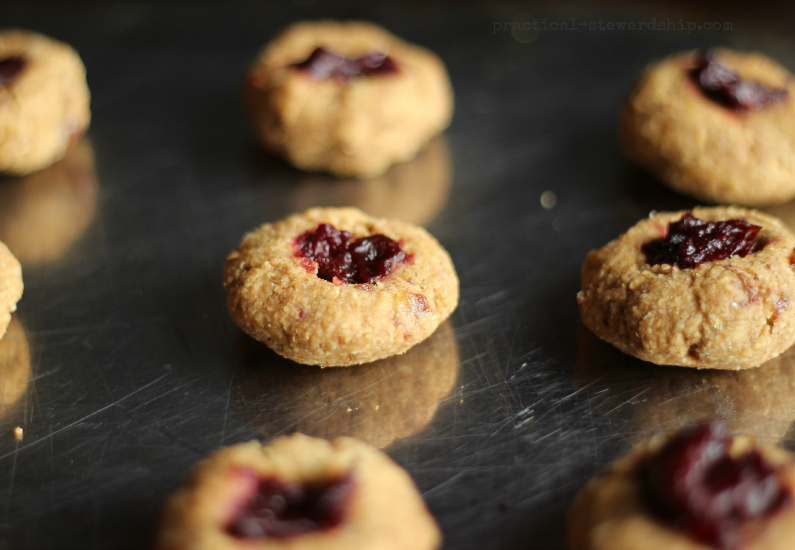 Cranberry Orange Oatmeal Cookies