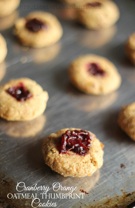 Cranberry Orange Oatmeal Breakfast Cookies