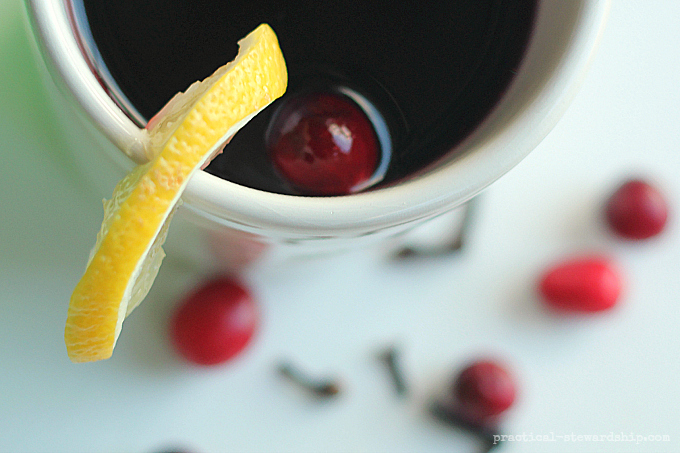 Crock-pot Cranberry Spiced Apple Cider