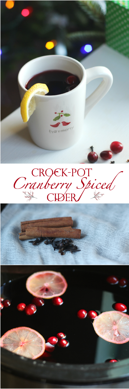 Crock-pot Cranberry Spiced Cider