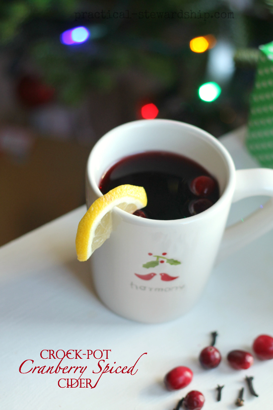 Crock-pot Cranberry Spiced Cider