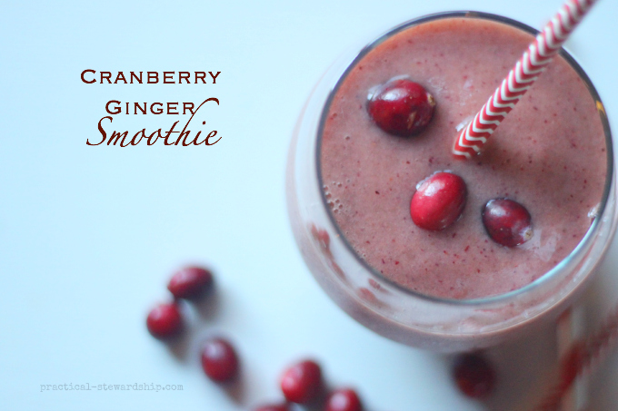 Cranberry Ginger SmoothieCranberry Ginger Smoothie