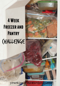 Shop Out of the Freezer and Pantry-No Spending Challenge
