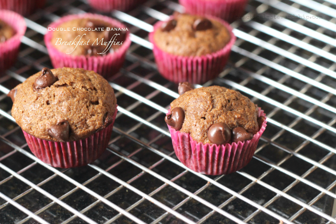 Double Chocolate Banana Breakfast Muffin