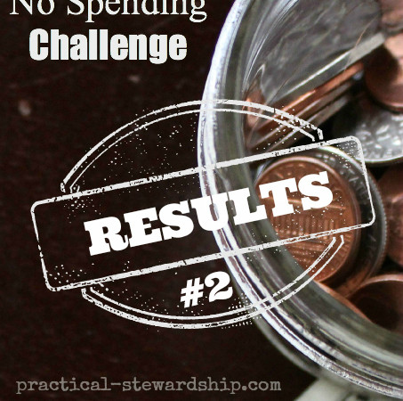 4 Week No Spending Challenge Results #2