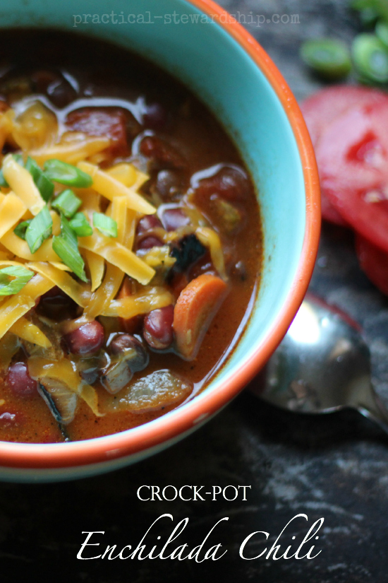 Crock-pot Enchilada Chili