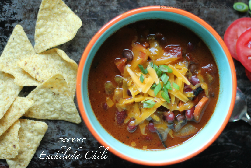 Crock-pot  Enchilada Chili