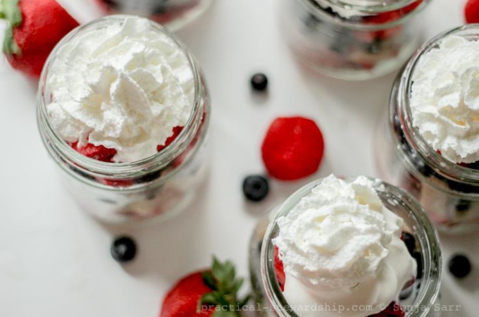 Portable Patriotic Berry Shortcake