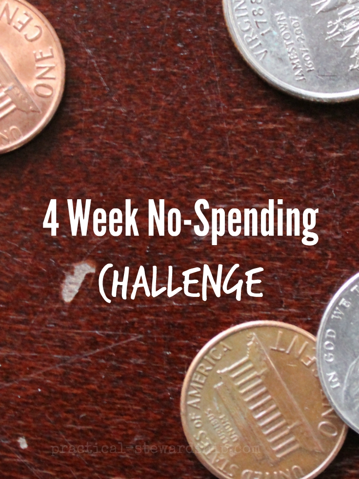 4 Week No-Spending Challenge