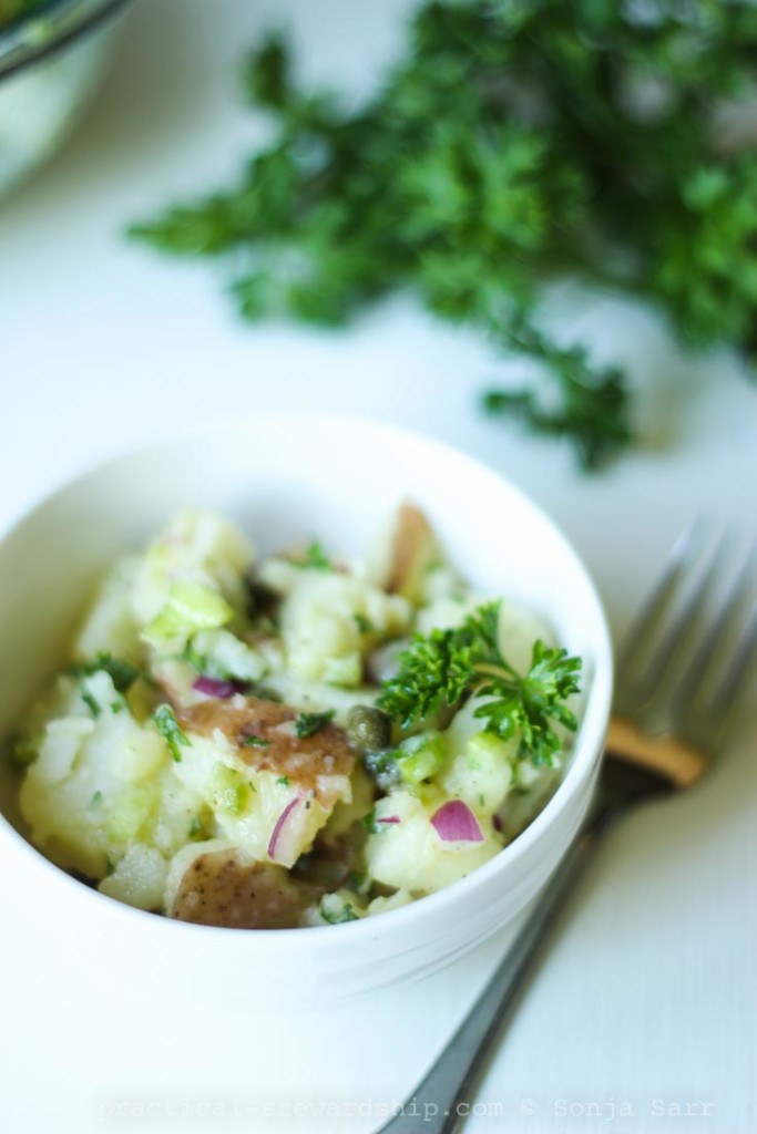 Vegan Potato Salad-3