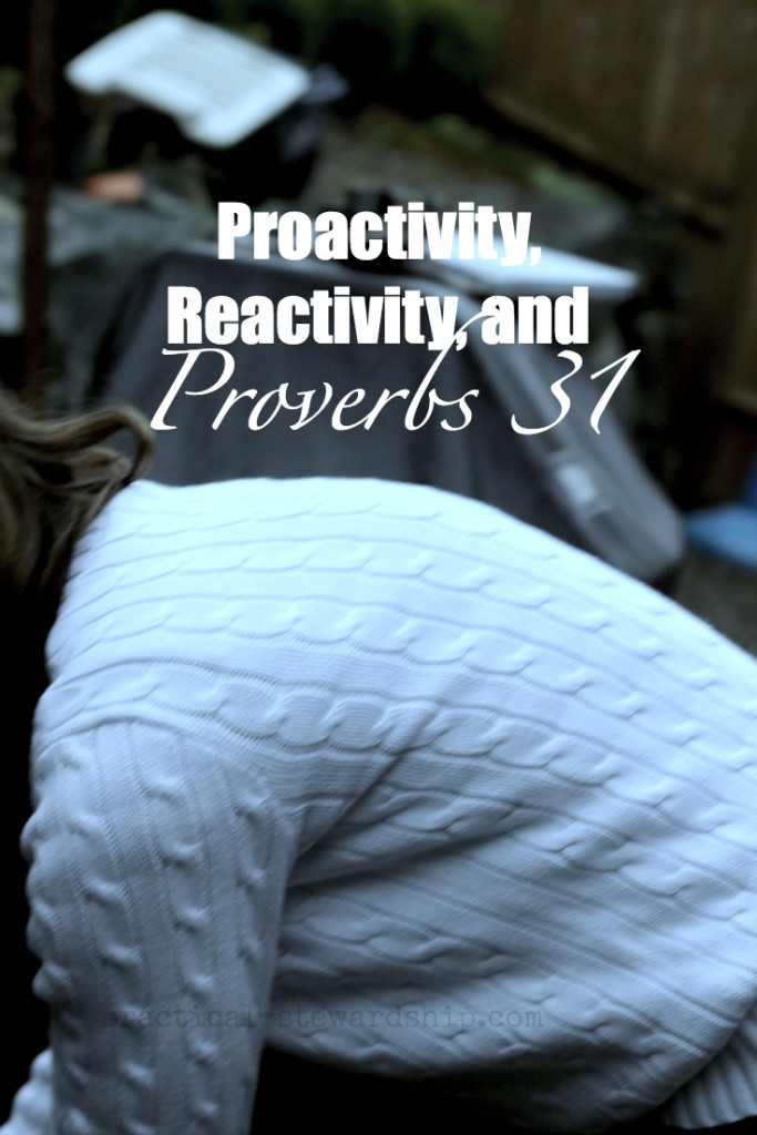 Proactivity, Reactivity, and Proverbs 31