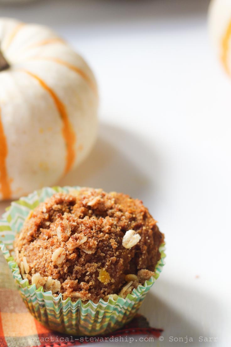 Pumpkin Banana Spice Muffins