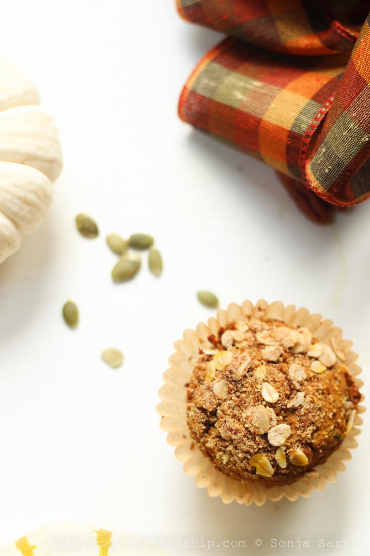 Pumpkin Banana Crumb Breakfast Muffins