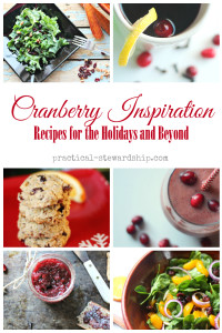 Cranberry Recipes