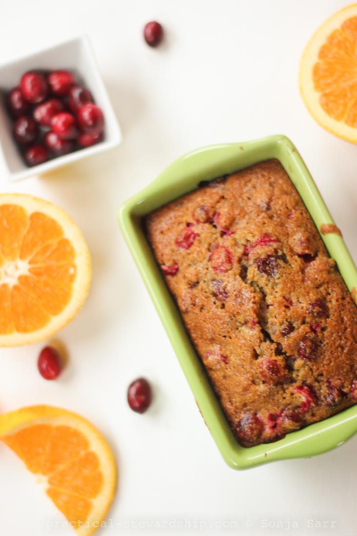 Dairy-free Cranberry Orange Bread-1