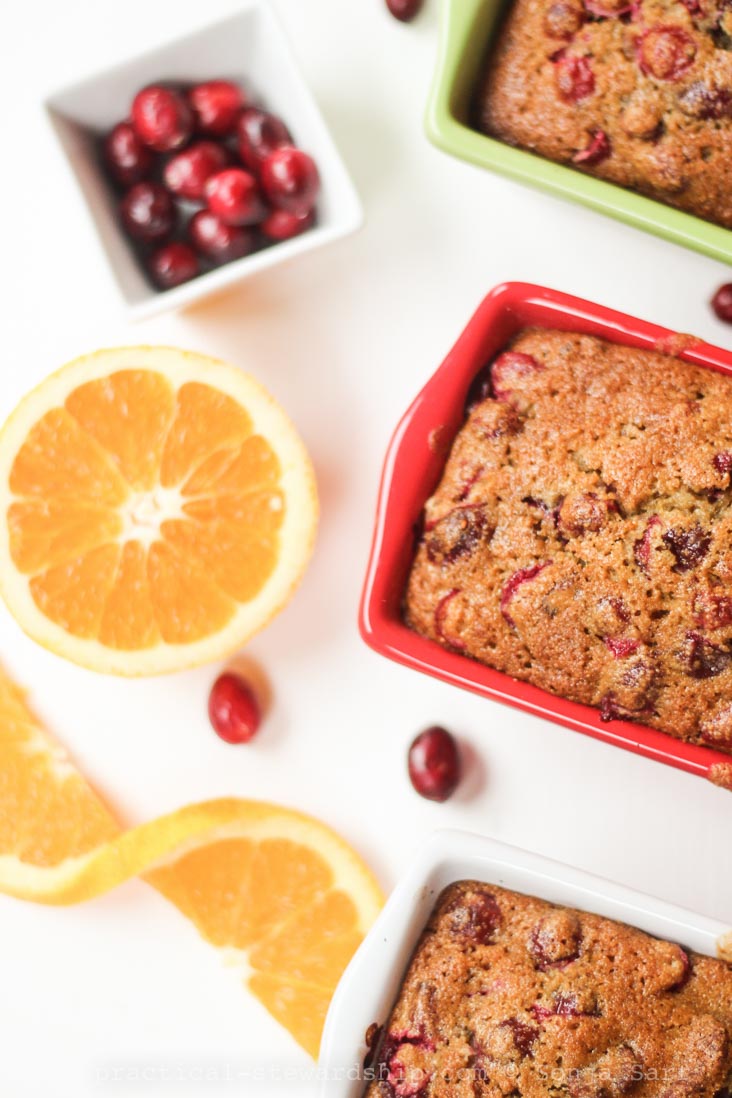 Dairy-free Cranberry Orange Bread-2