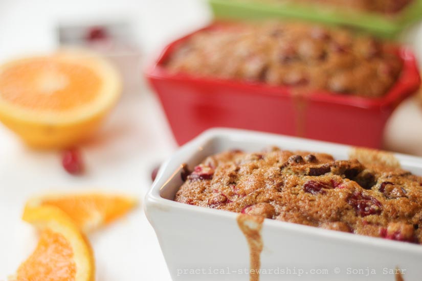 Dairy-free Cranberry Orange Bread