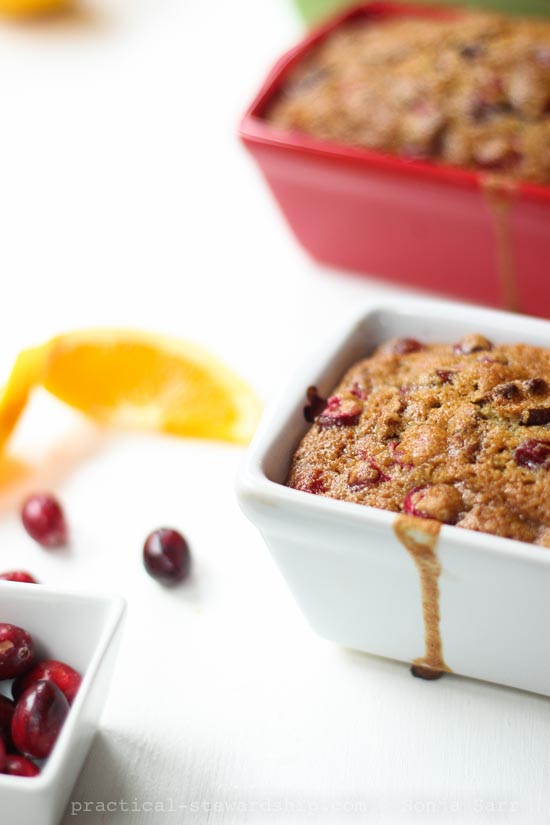 Dairy-free Cranberry Orange Bread-4