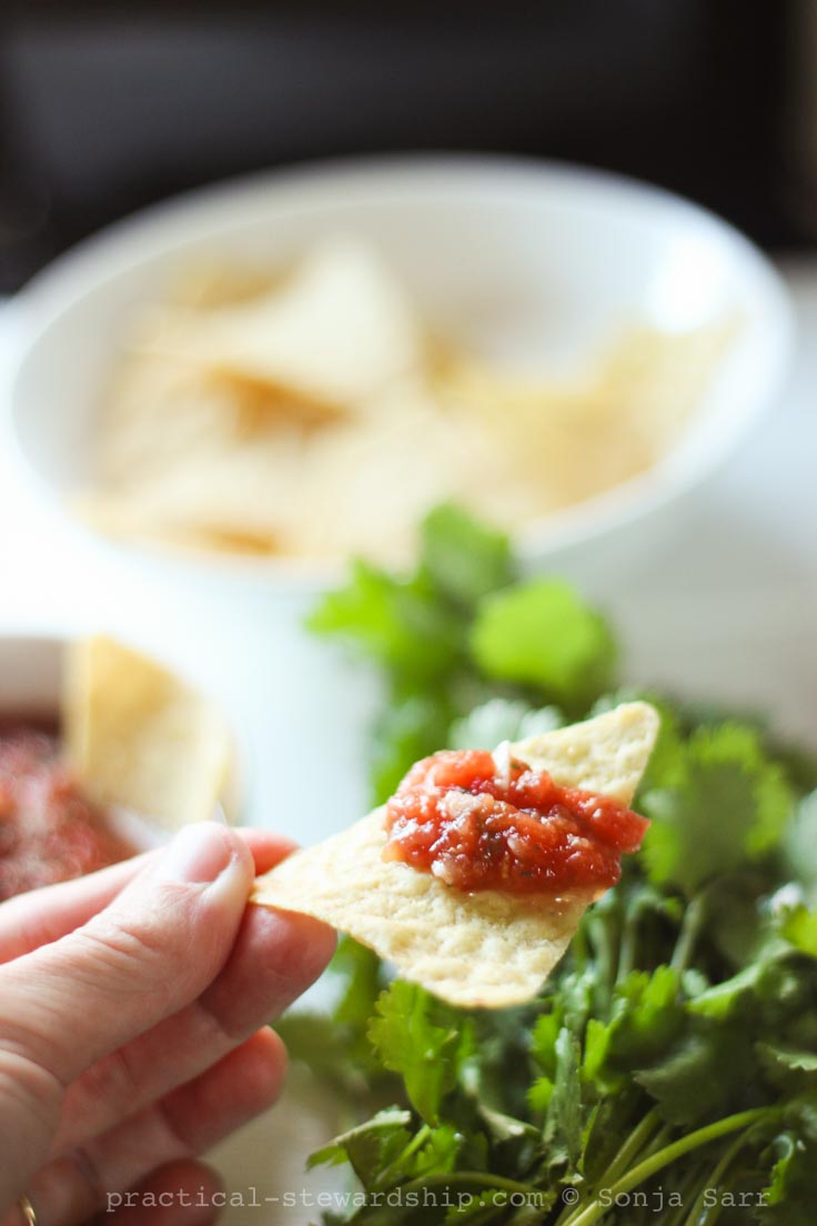 Easy Homemade Salsa