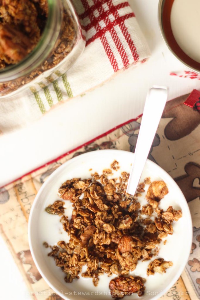 Gingerbread Granola