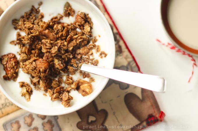 Gingerbread Granola