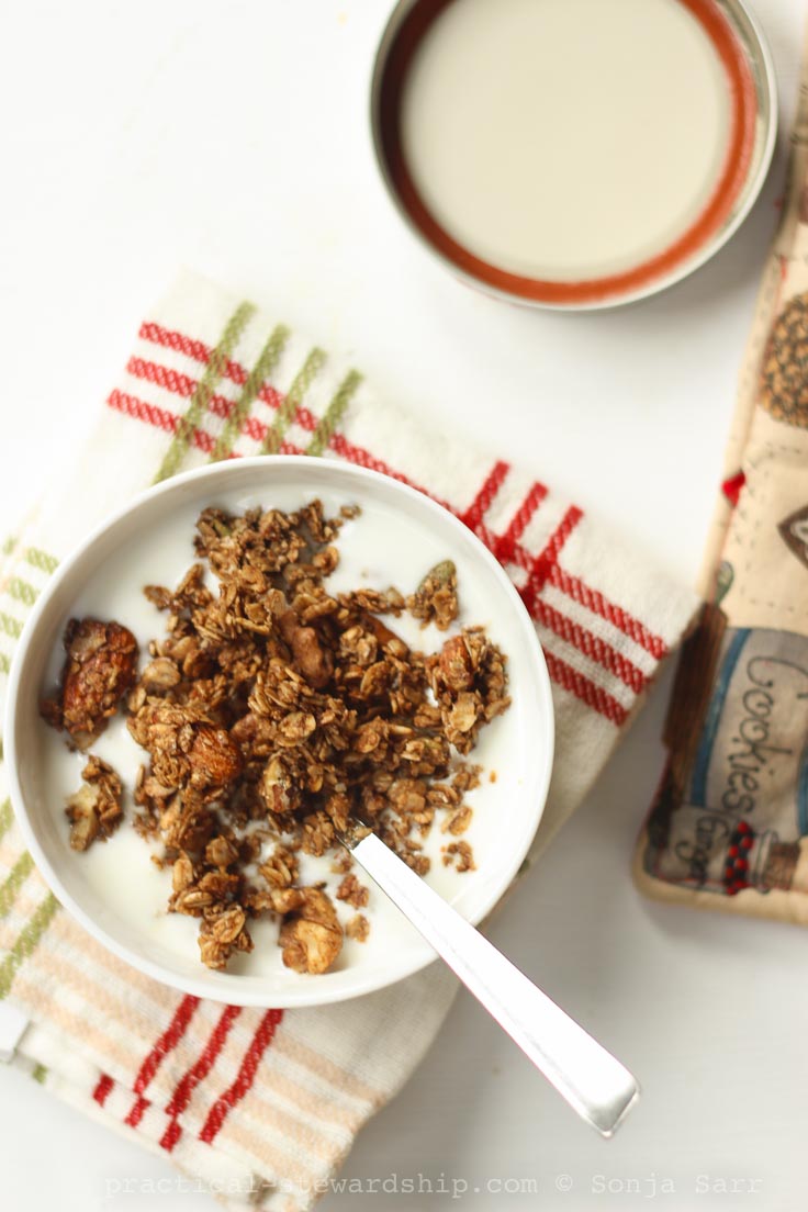 Gingerbread Granola - Practical Stewardship