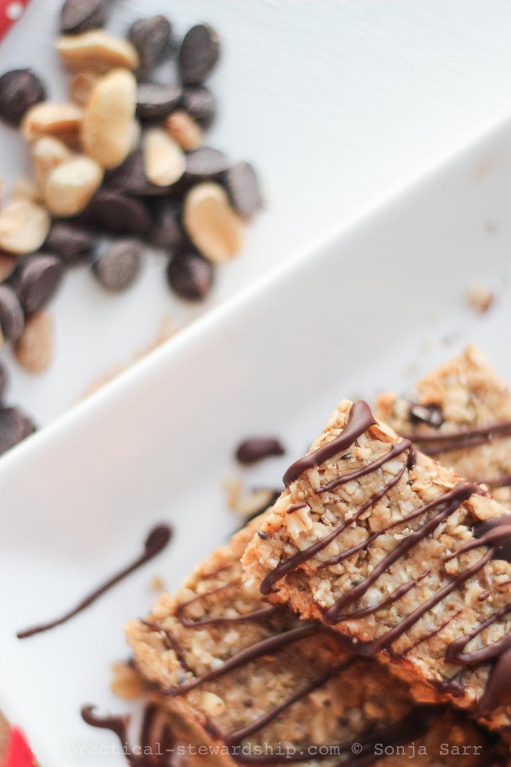 4 Ingredient Chewy Granola Bars