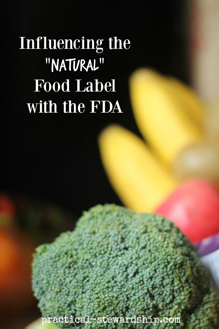Influencing the "Natural" Food Label with the FDA