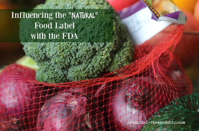 Influencing the "Natural" Food Label with the FDA