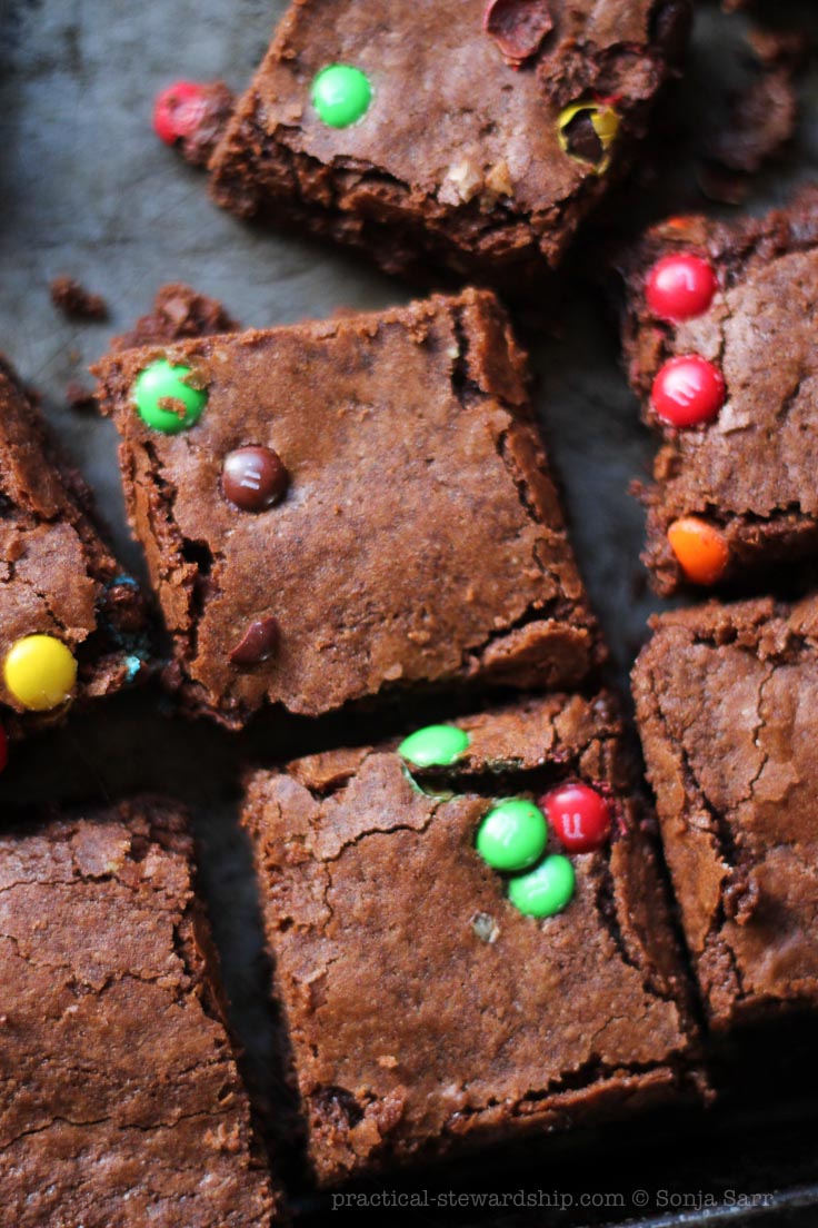 Dairy-free Dark Chocolate Brownies-3