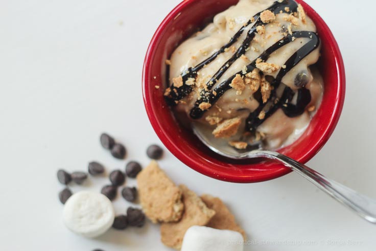 Dairy-free S'mores Ice Cream-2