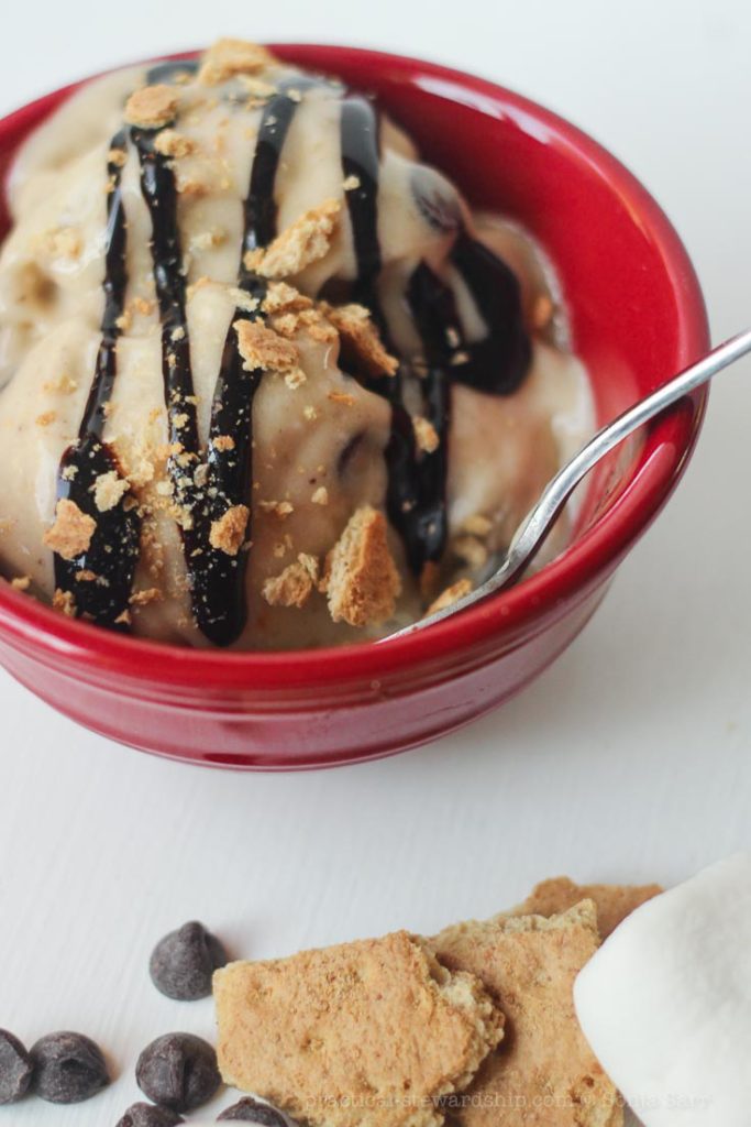 Dairy-free S'mores Ice Cream-2