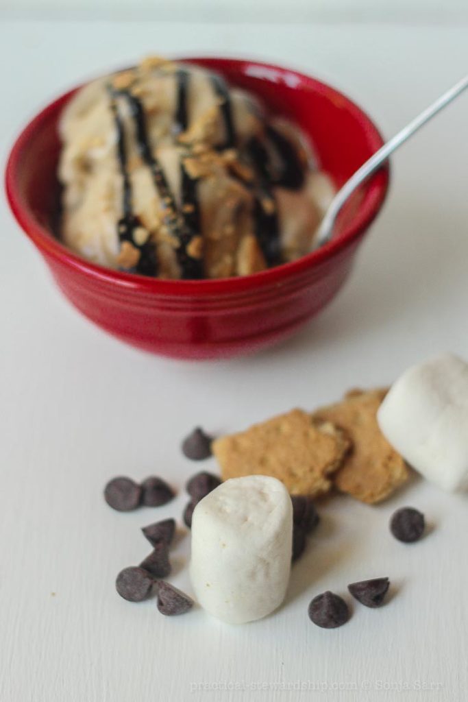 Dairy-free S'mores Ice Cream