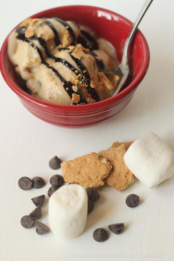 Dairy-free S'mores Ice Cream