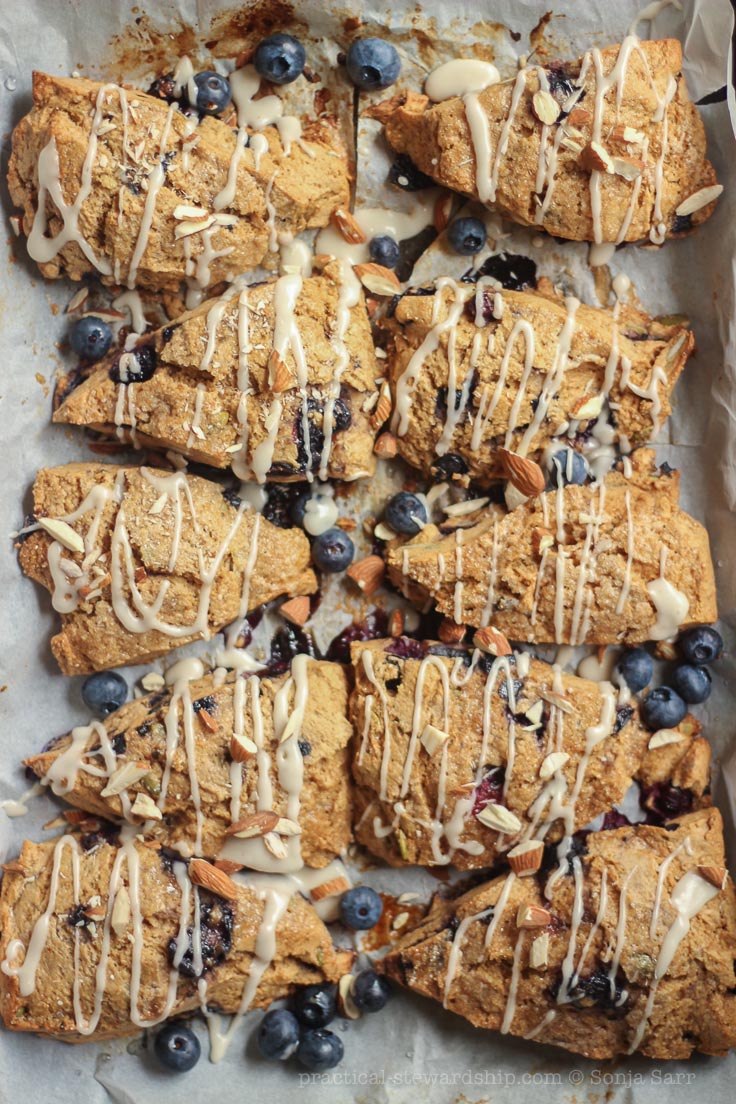 Vegan Lemon Blueberry Scones