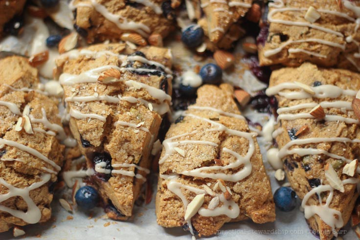 Vegan Lemon Blueberry Scones