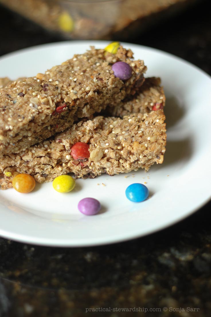 Chocolate Chip Peanut Butter Quinoa Granola Bar