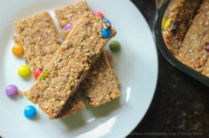 Chocolate Chip Peanut Butter Quinoa Granola Bar