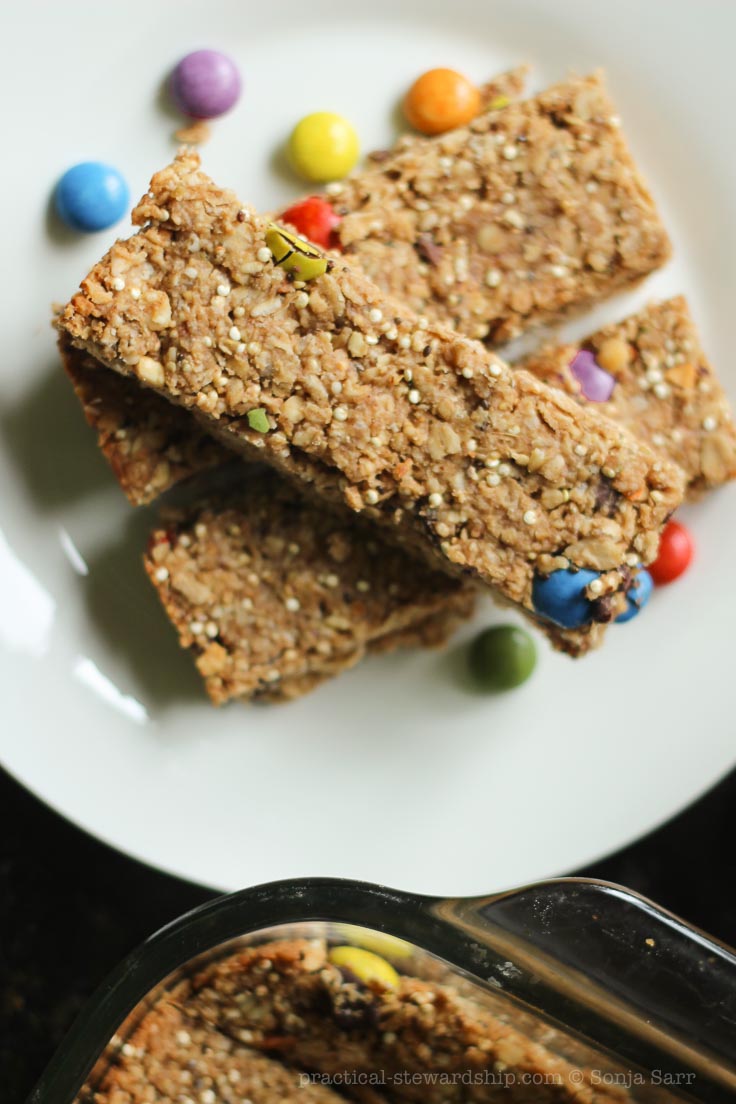 Chocolate Chip Peanut Butter Quinoa Granola Bar