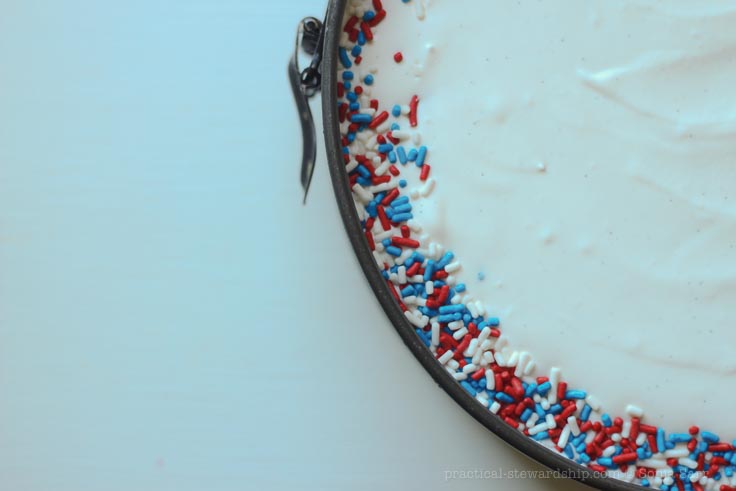 Tarta de helado sin leche