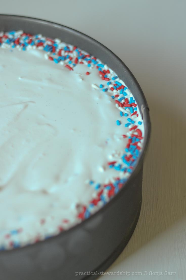 Tarta de helado sin lácteos