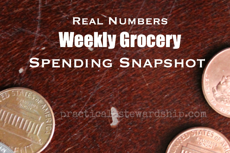 Weekly Grocery Spending Snapshot