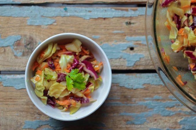 Easy No Mayo Coleslaw