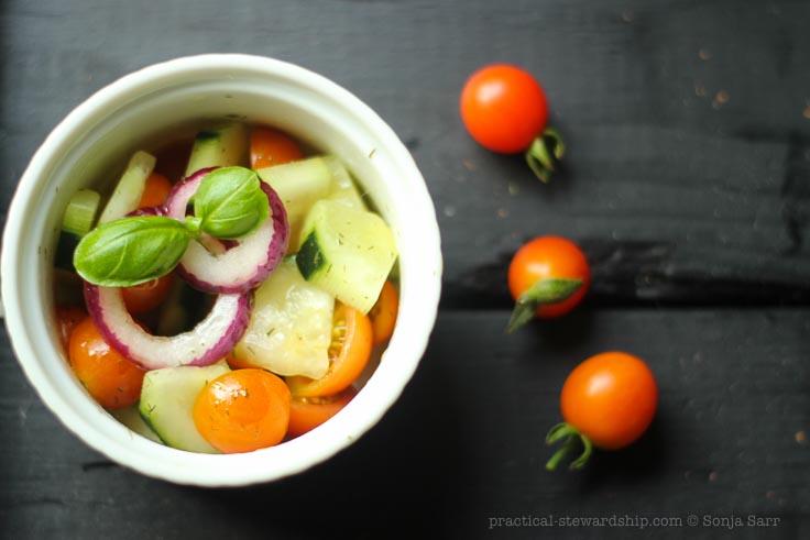 Tomato Cucumber Salad with Lemon Basil Vinaigrette