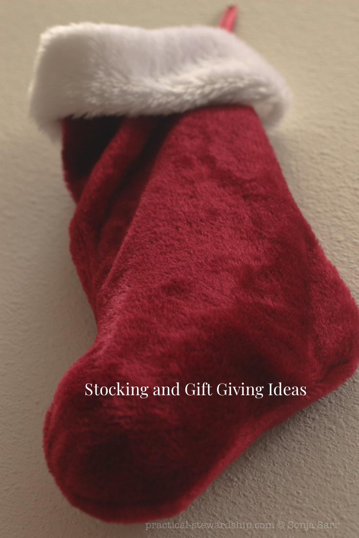 Stockings and Gift Giving Ideas